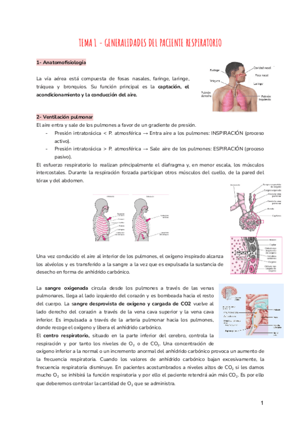 Miniatura del documento TEMA-1-GENERALIDADES-DEL-PACIENTE-RESPIRATORIO.pdf