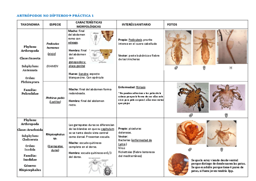 Miniatura del documento Practicas-parasitologia-1.pdf