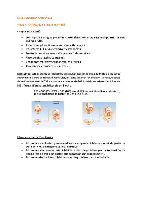 Miniatura del documento T.pdf
