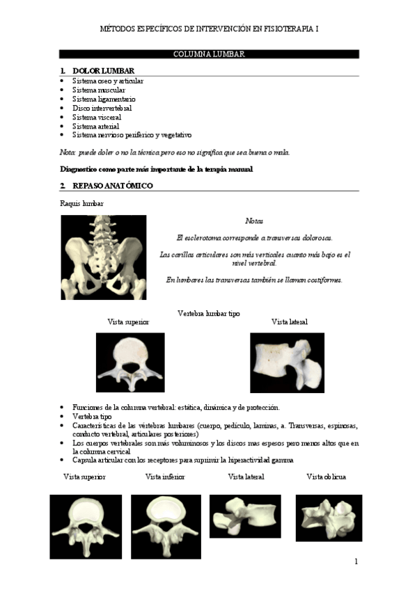 Miniatura del documento COLUMNA-LUMBAR.pdf