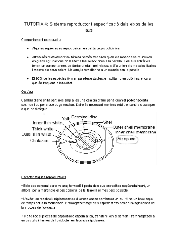 Miniatura del documento bddtutoria4.pdf