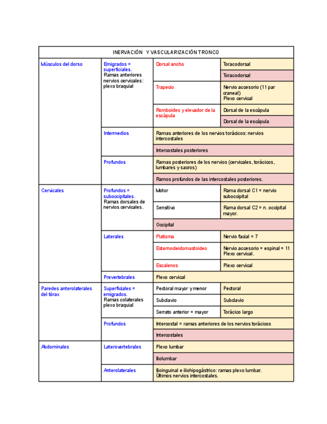 Miniatura del documento Tabla vascularización e inervación.pdf