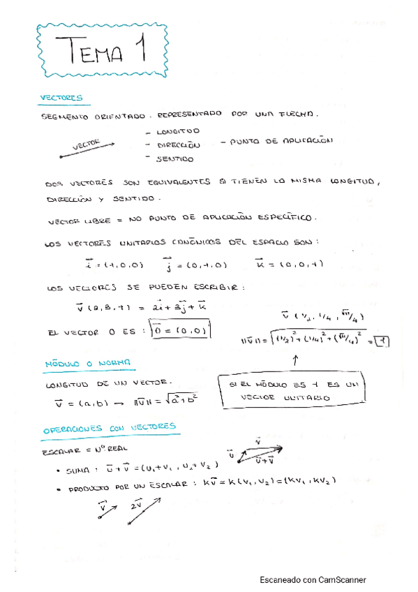 Miniatura del documento 1.pdf