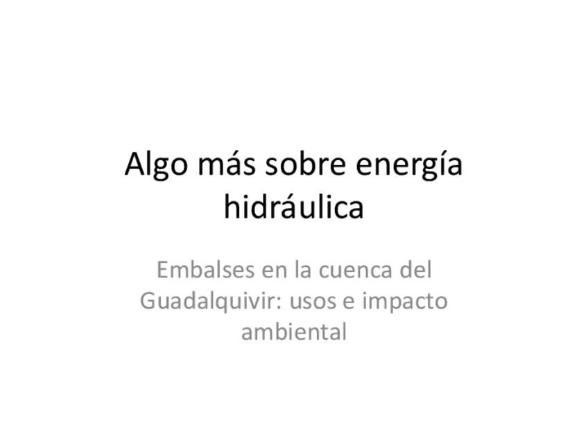 Miniatura del documento Impacto-ambiental-de-la-energia-hidraulica.pdf