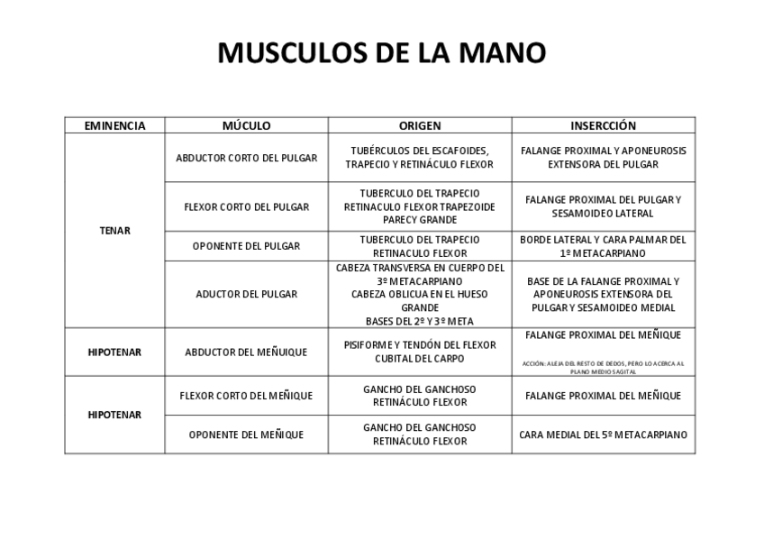 Miniatura del documento MUSCULOS-DE-LA-MANO.pdf