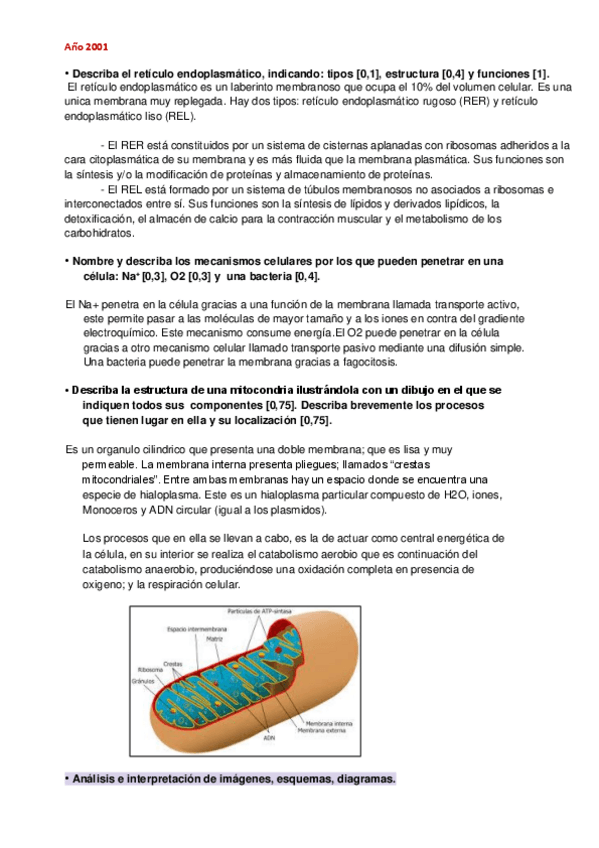 Miniatura del documento T5-CELULA.pdf
