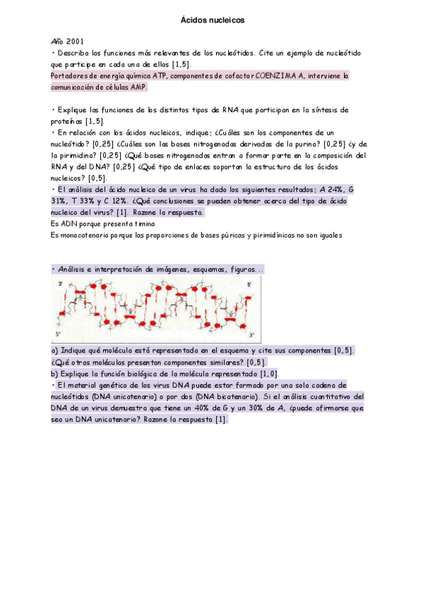 Miniatura del documento Acidos-nucleicos.pdf
