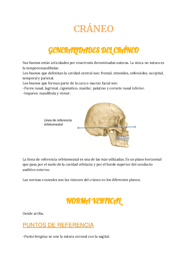Miniatura del documento ca-CRANEO1.pdf