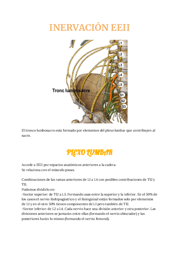 Miniatura del documento ia-INERVACION-Y-VASCULARIZACION-EEII1.pdf