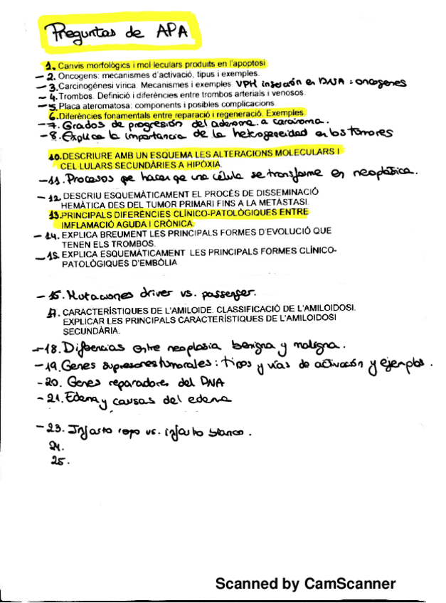 Miniatura del documento Todas-las-posibles-preguntas-de-desarrollo-de-APA-recogidas.pdf