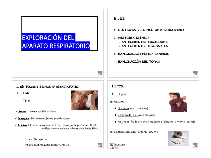 Miniatura del documento RESPIRATORIO.pdf