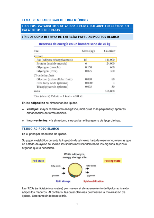 Miniatura del documento TEMA-9.pdf