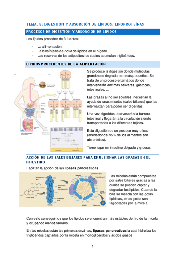 Miniatura del documento tema-8.pdf