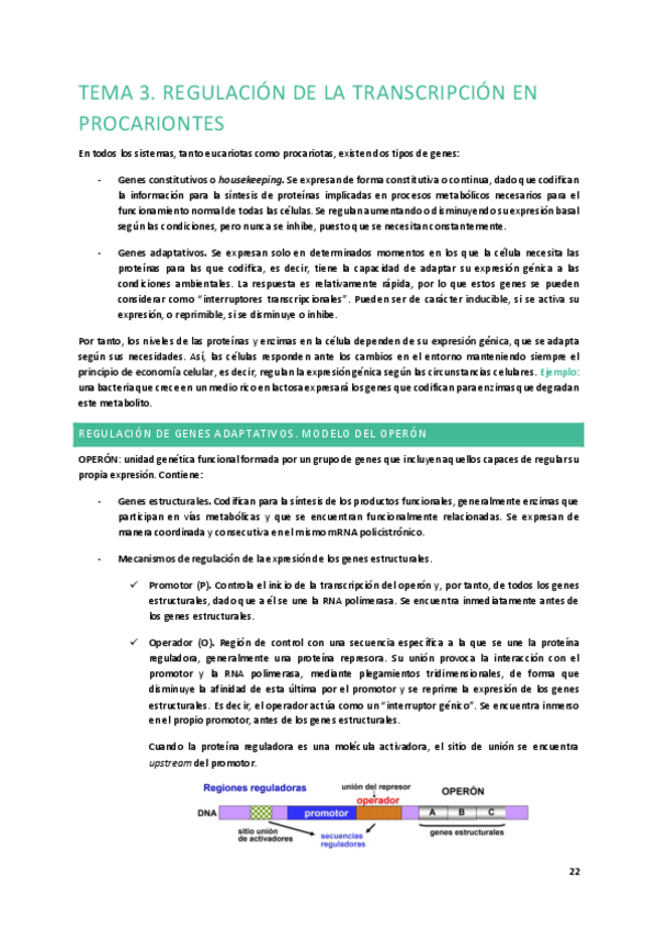 Miniatura del documento Tema-3.pdf