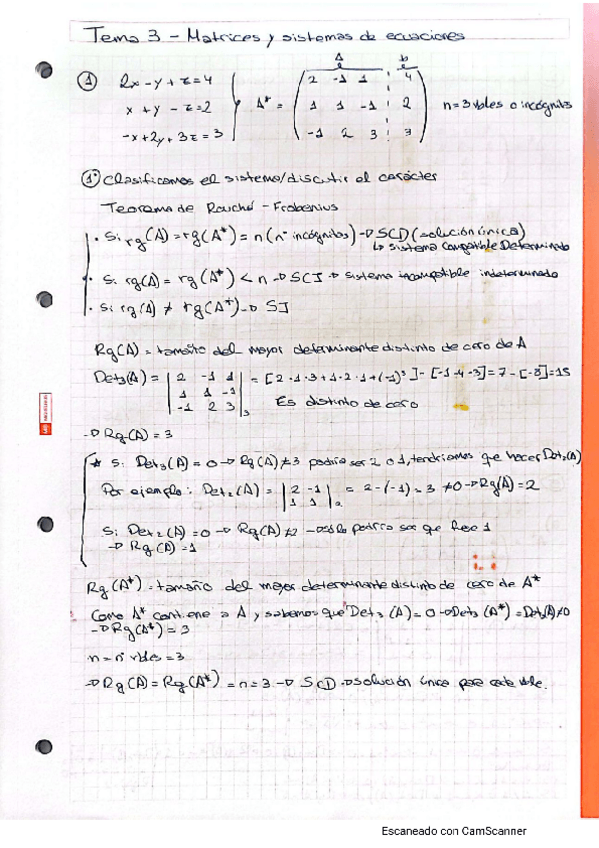 Miniatura del documento Apuntes-y-ejercicios-resueltos-y-explicados-Tema-3-Matrices-y-sistemas-de-ecuaciones.pdf