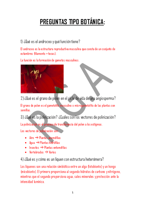 Miniatura del documento Preguntas Botánica.pdf