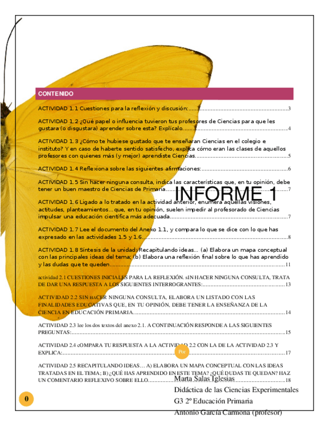 Miniatura del documento SALASIGLESIAS_INFORME I.docx