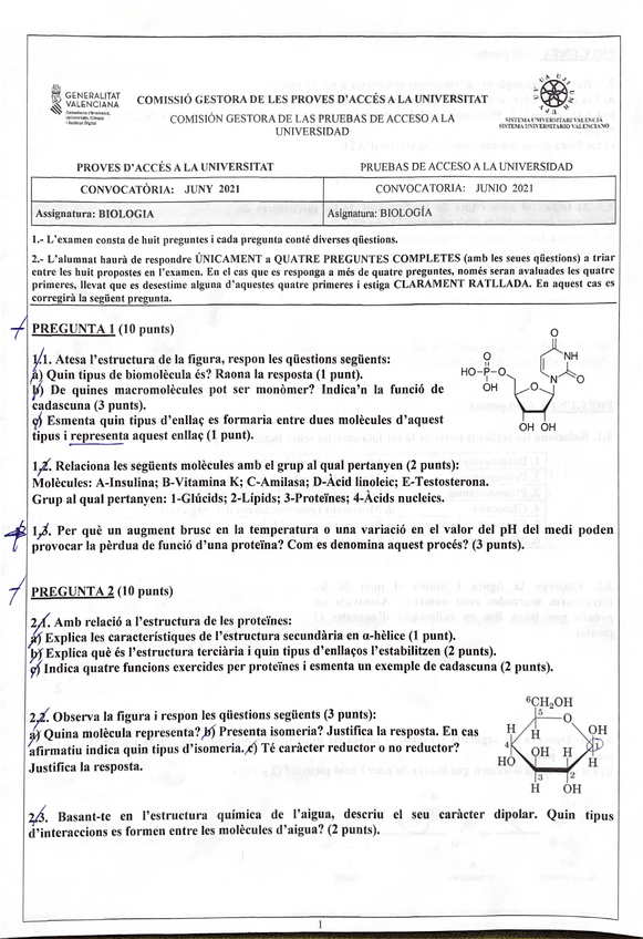 Miniatura del documento evaubioval.pdf