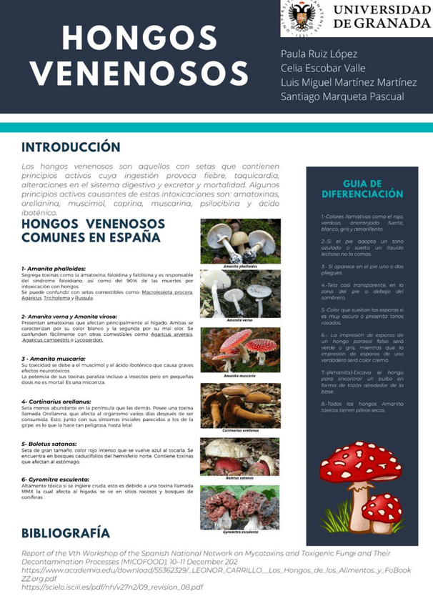 Miniatura del documento Poster-HONGOS-VENENOSOS.pdf
