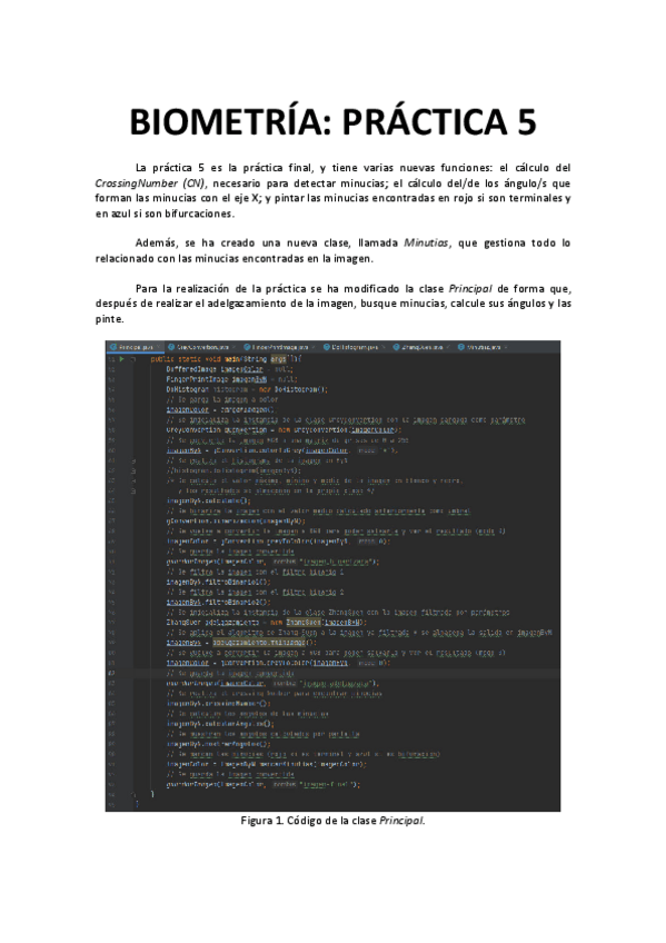 Miniatura del documento P5BIOMETRIA.pdf