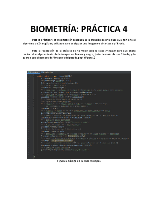 Miniatura del documento P4BIOMETRIA.pdf