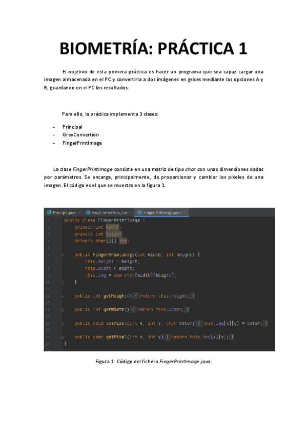Miniatura del documento P1BIOMETRIA.pdf