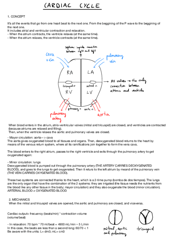 Miniatura del documento 6.pdf