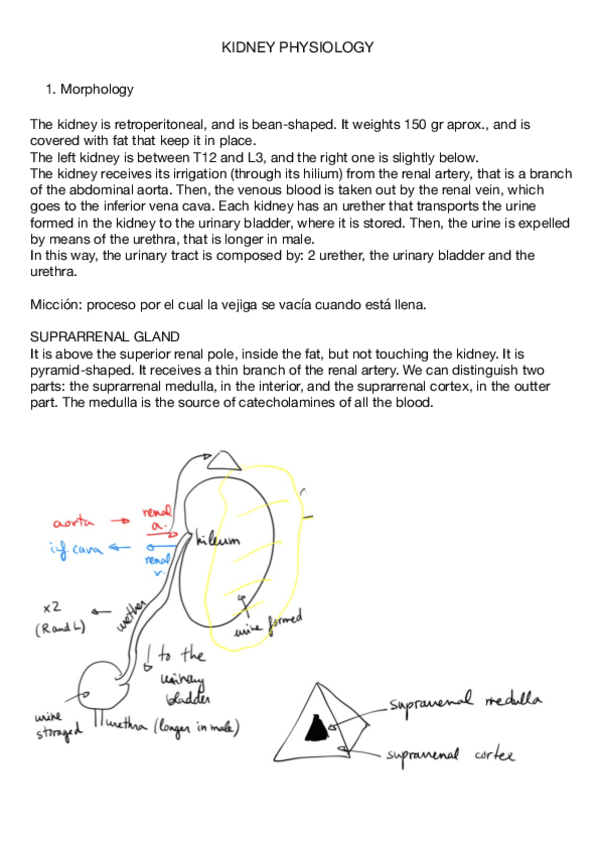 Miniatura del documento 24.pdf
