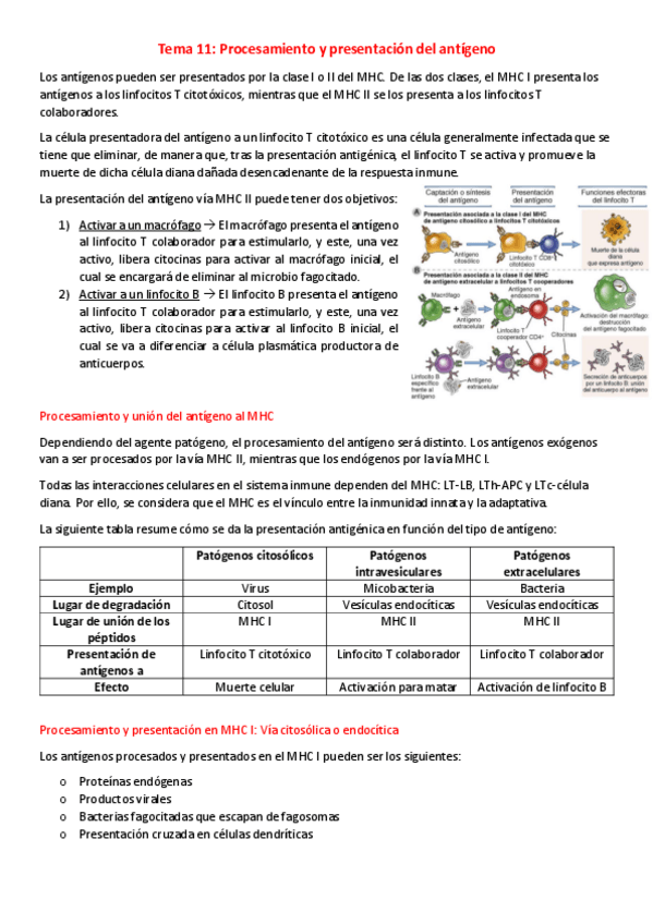 Miniatura del documento T11-I-Procesamiento-y-presentacion-del-antigeno.pdf