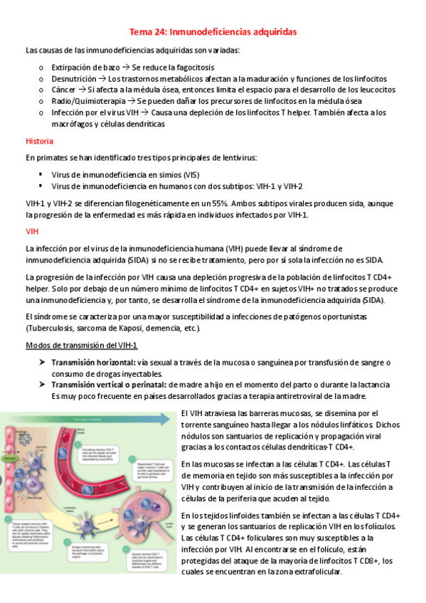 Miniatura del documento T24-I-Inmunodeficiencias-adquiridas.pdf