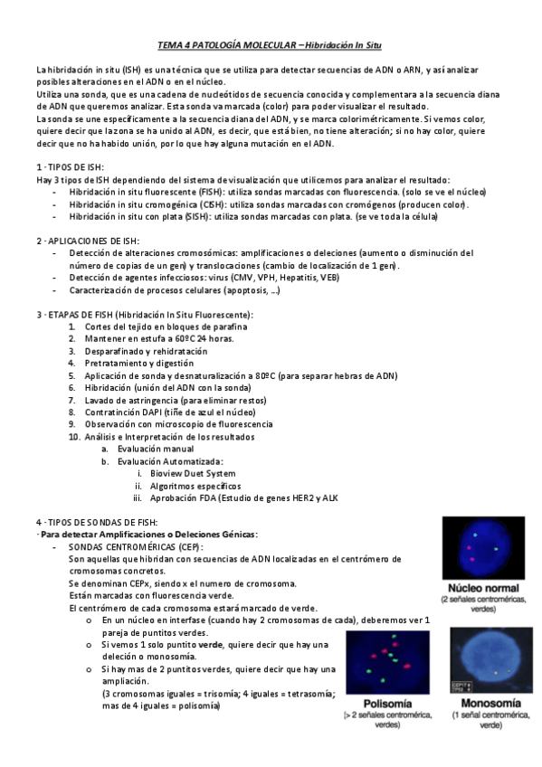 Miniatura del documento TEMA-4-PATOLOGIA-MOLECULAR.pdf