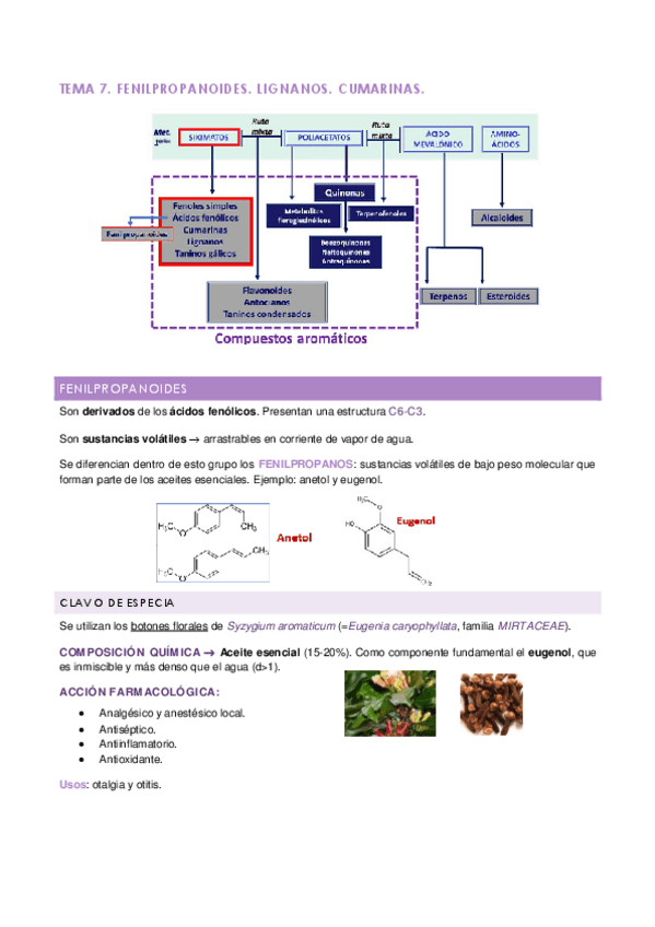 Miniatura del documento Tema-7-farmacognosia-1.pdf