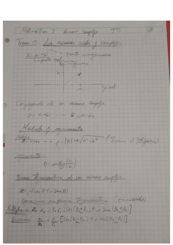 Miniatura del documento Matematicas1.pdf