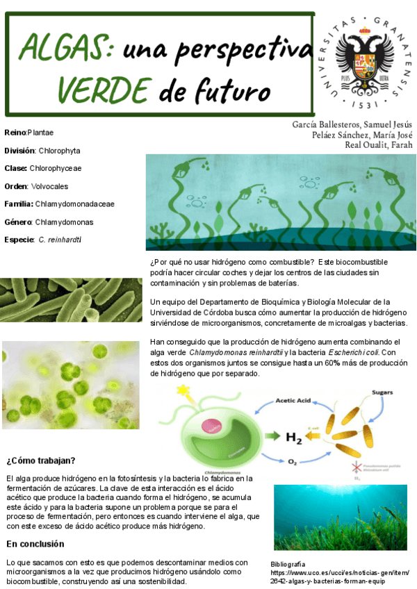Miniatura del documento ALGAS-una-perspectiva-VERDE-de-futuro.pdf