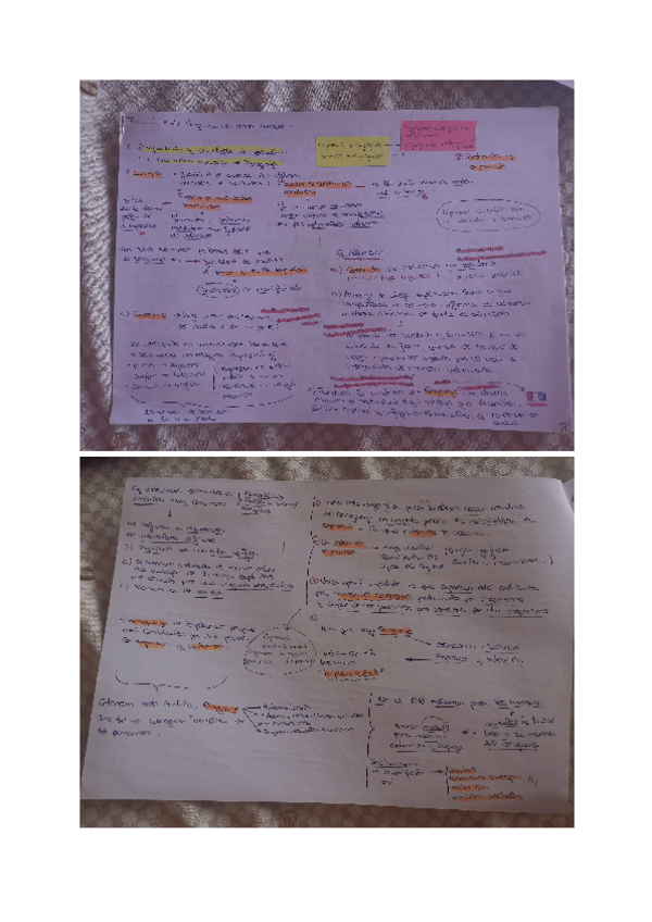 Miniatura del documento ESQUEMAS-TEMA-1.pdf