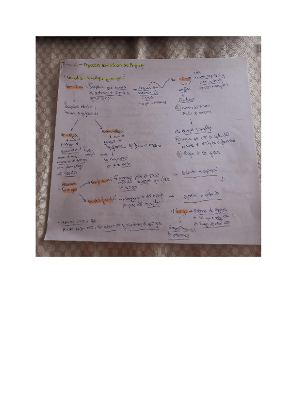 Miniatura del documento ESQUEMAS-TEMA-2.pdf