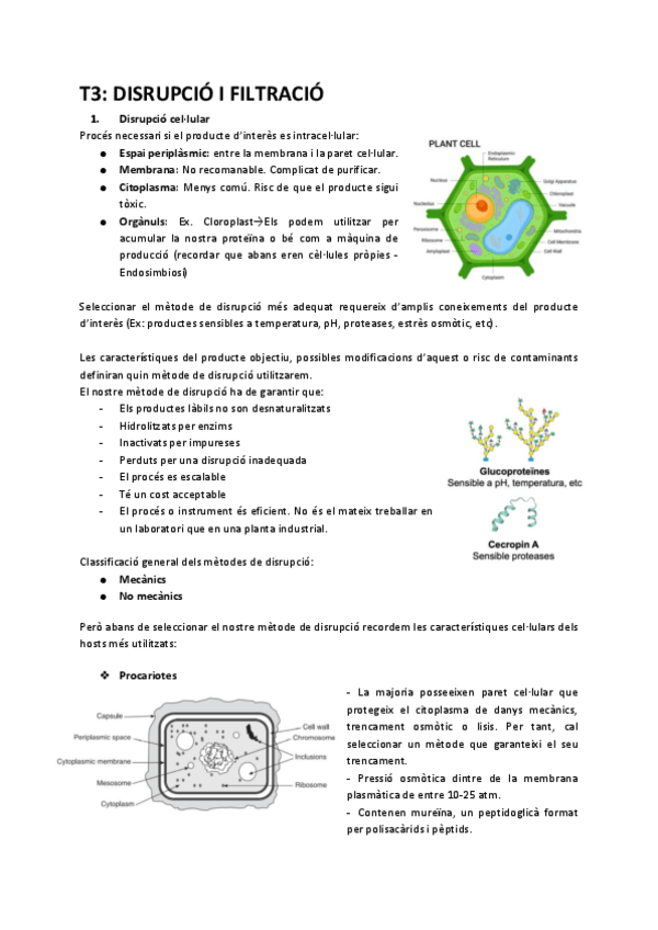 Miniatura del documento T3.pdf