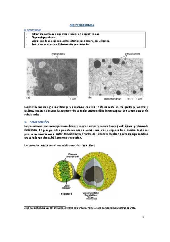 Miniatura del documento M9-10-revisada.pdf