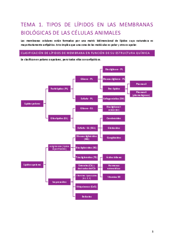 Miniatura del documento Tema-1.pdf