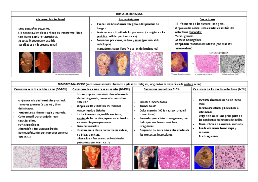 Miniatura del documento TABLAS-APA.pdf