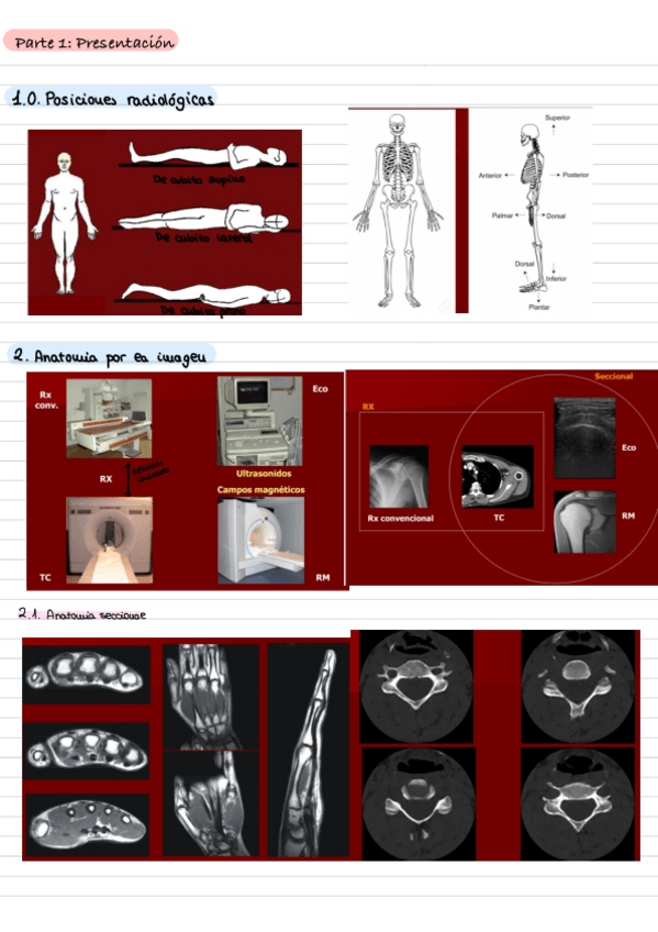 Miniatura del documento Esquemas-Rayos.pdf
