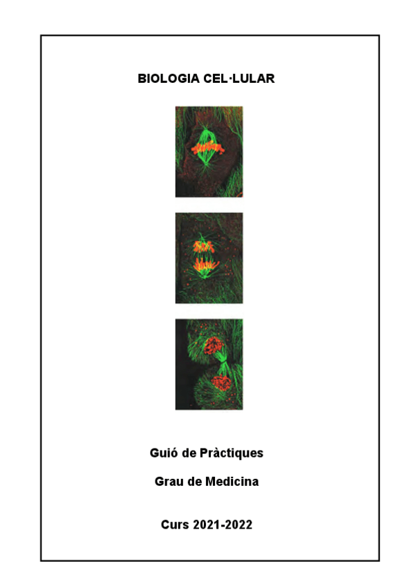Miniatura del documento Practica-1-Microscopi.pdf