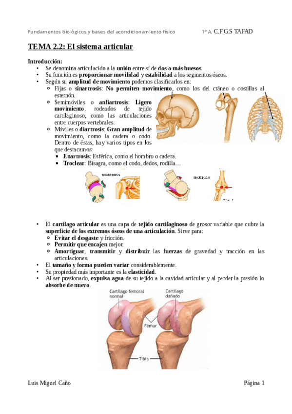 Miniatura del documento Tema-2.pdf