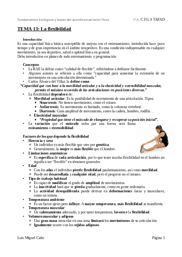 Miniatura del documento Tema-13-La-flexibilidad.pdf
