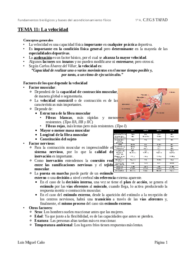 Miniatura del documento Tema-11-La-velocidad.pdf