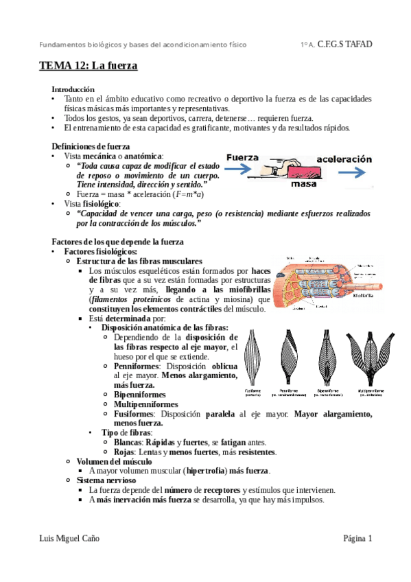 Miniatura del documento Tema-12-La-fuerza.pdf