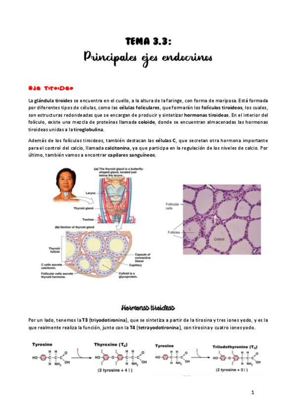 Miniatura del documento TEMA-3.pdf