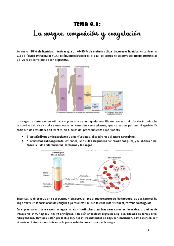 Miniatura del documento TEMA-4.pdf