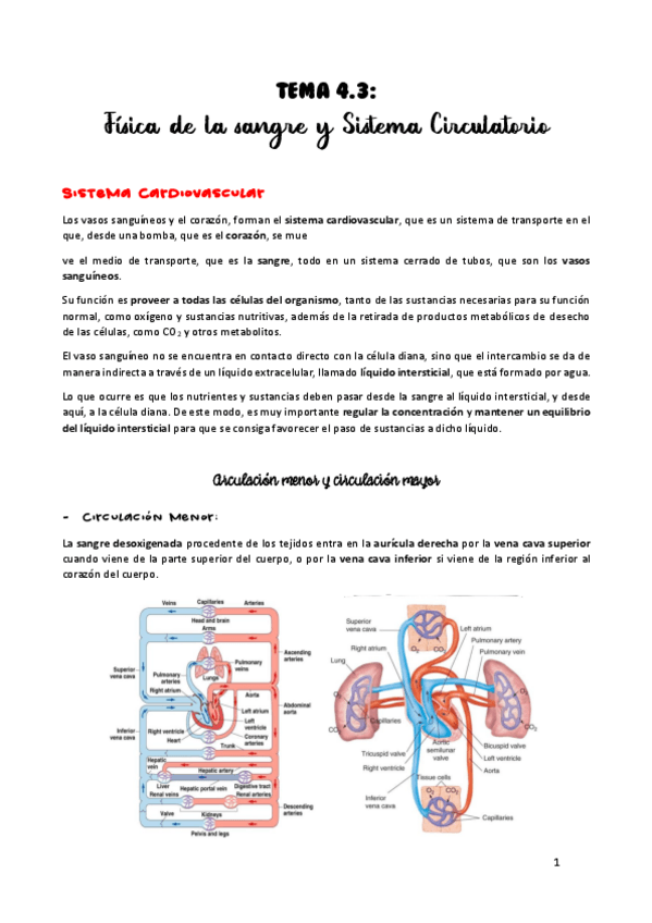 Miniatura del documento TEMA-4.pdf