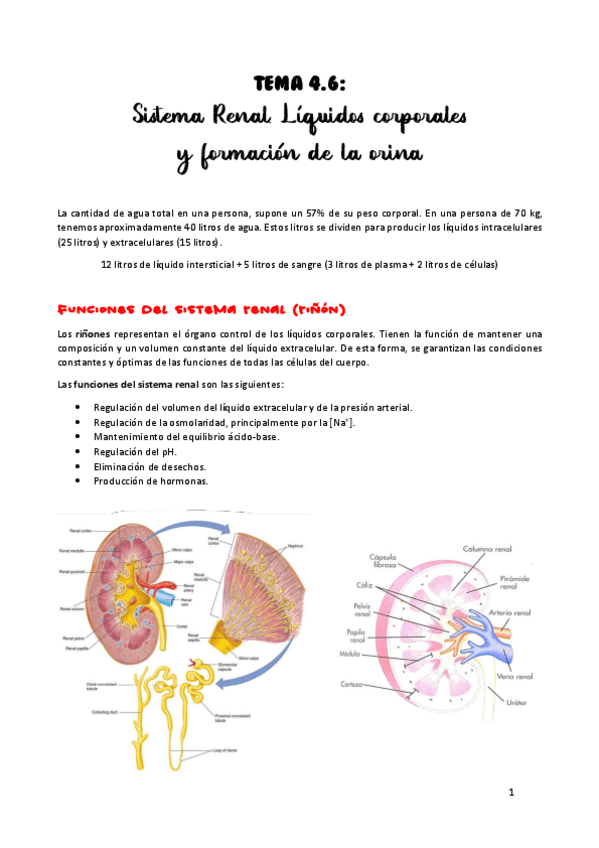 Miniatura del documento TEMA-4.pdf